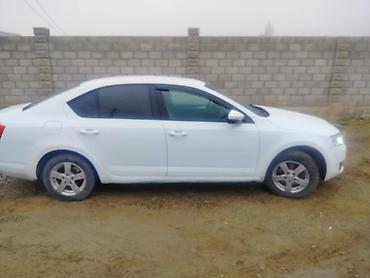 Skoda: Skoda Octavia: 2016 г., Седан — 2