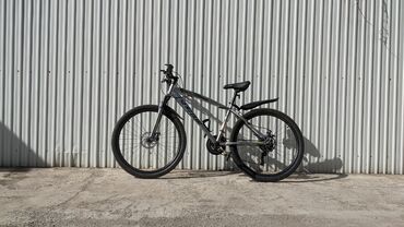 хороший велосипед: AZ - City bicycle, Башка бренд, Велосипед алкагы L (172 - 185 см), Болот, Колдонулган