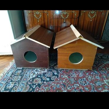 Yuvalar: DOMiKİ DLYA KOŞEK i SOBAK — 1