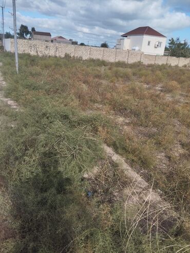 купить землю в мардакянах: Для строительства