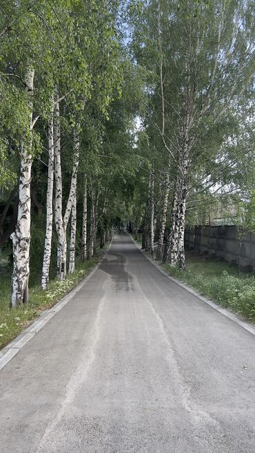 Иссык-Куль 2025: Номер, Усман. Чолпон-Ата, Охраняемая территория — 10