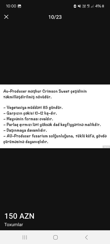 Toxumlar: Məhsul: Toxumlar – ALIZE F1 qarpız toxumu - Brend: KNOWN-YOU SEED — 11