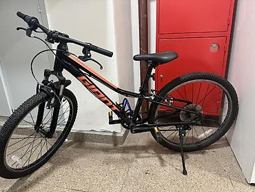 токолка вип: Детский горный велосипед GIANT Talon 24 (Valencia) - Диаметр колес — 6