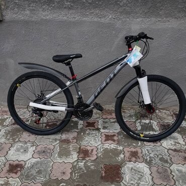 Городские велосипеды: Городской велосипед, Рама XXL (190 - 210 см) — 2