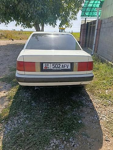 Audi: Audi 100: 1993 г., Седан — 2