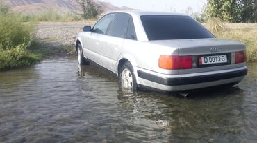 Audi: Audi 100: 1994 г., Седан — 8