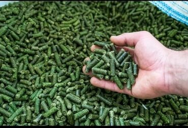 Yem üyüdən aparatlar: Patron yemi hazırlayan maşınlar satılır. ( Гранулятор ). Maşınların — 8