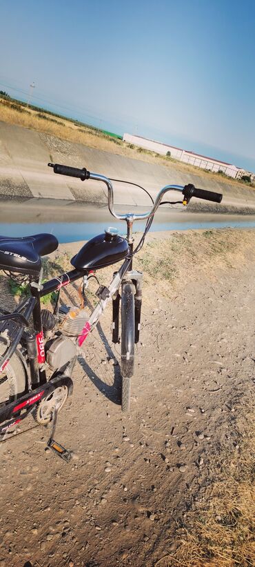 Mopedlər,skuterlər: Benzin mühərrikli velosiped - Çərçivə: PILOT markalı şosse/şəhər — 16