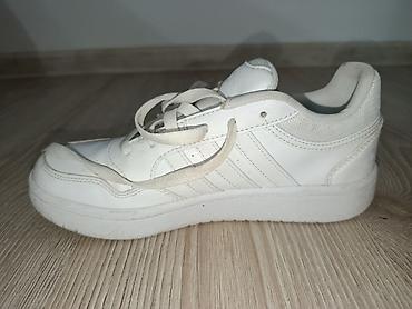 patike ecco: Original, novo — 2