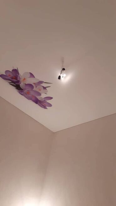 Натяжной потолок: Натяжной потолок 3D потолки, Глянцевое, Матовое Гарантия, Монтаж, Бесплатный замер — 9