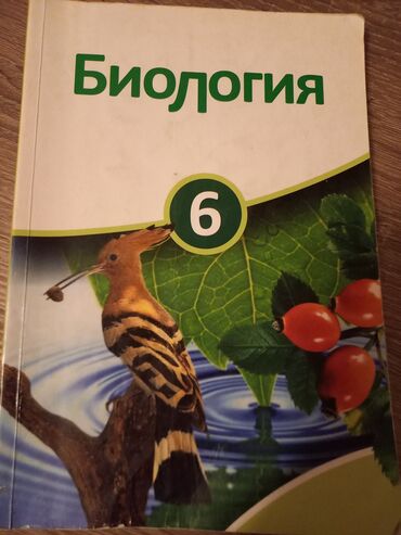 айгюн меджидова тесты по русскому языку 1 класс: Biologiya 6-cı sinif, 2013 il, Ünvandan götürmə