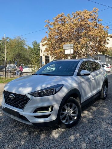 срочно продаю в связи с переездом: Hyundai Tucson: 2023 г., 1.6 л, Автомат, Дизель, Кроссовер