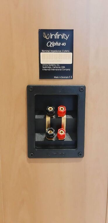 Zvučnici i stereo sistemi: Odlično očuvani Infinity Alpha 40 podnostojeći Hi-Fi zvučnici — 6