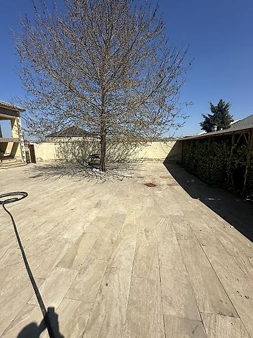 yeni güneşlide: 4 sot, Tikinti, Maklerlər narahat etməsin, Kupça (Çıxarış) — 8