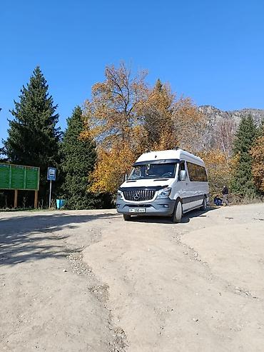 мд регион: Mercedes-Benz Спринтер: 2009 г., 2.7 л, Механика, Дизель, Бус — 7