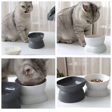 Зоотовары: ПРОДАЮ КОШАЧЬЮ МЯТУ(АНТИСТРЕСС),ПОРАДУЙТЕ СВОГО КОТИКА ТАКОЙ at lalafo.kg — 20 Зоотовары: ПРОДАЮ КОШАЧЬЮ МЯТУ(АНТИСТРЕСС),ПОРАДУЙТЕ СВОГО КОТИКА ТАКОЙ — 20