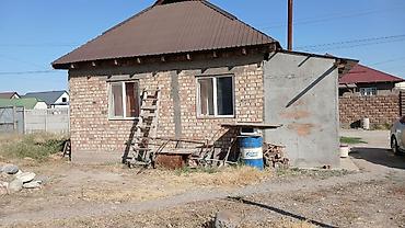 Земельные участки: 4 соток, Красная книга — 2