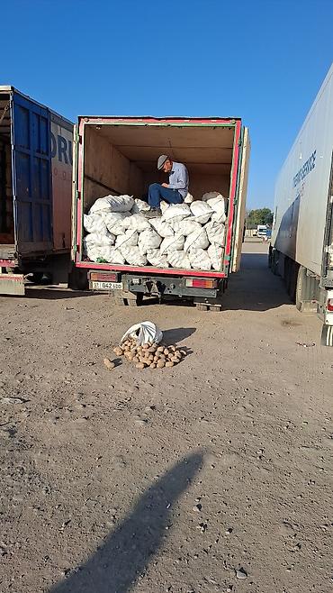 Услуги портера: Грузоперевозки🔄бишкек каракол север юг балыкчы. | боконбай — 11