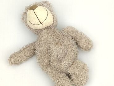 Mascot Teddy bear, condition - Perfect