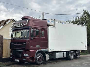 Тягачи: Тягач, DAF, 2006 г., Холодильник, рефрижератор — 1