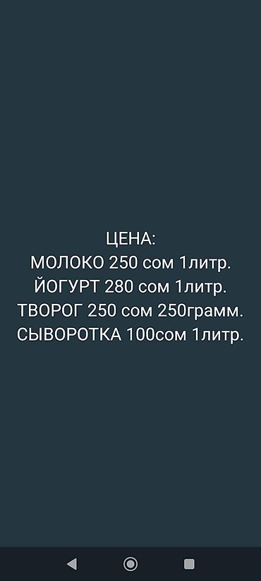 отель расходники: Козье молоко, Домашнее, В розницу — 5