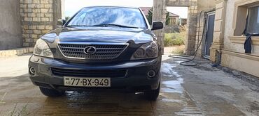 Lexus: Lexus RX seriyası krossover - Kuzov: 5 qapılı krossover/SUV, tünd boz — 7