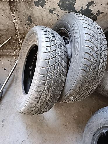 mini v: Шины 185 / 70 / R 14, Зимняя шипованная, Б/у, Пара, Легковые, Roadstone — 3