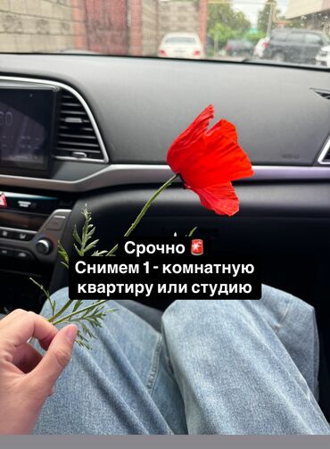 долгосрочные квартиры на 70008000тысячи: 1 комната, 40 м², С мебелью