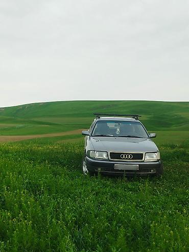 Audi: Audi 100: 1993 г., 2.6 л, Механика, Бензин, Седан — 2