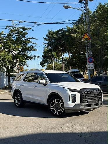 Hyundai Palisade: 2023 г., Внедорожник