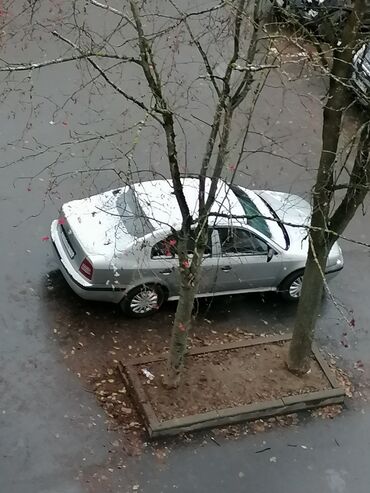 Skoda: Skoda Octavia: 2003 г., 1.6 л, Механика, Бензин, Седан