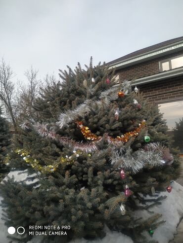 Продажа домов: Дом, 190 м², 8 комнат, Собственник — 32