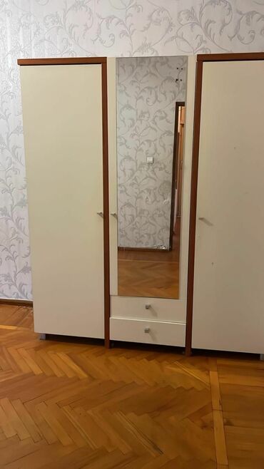 işlenmiş şkaf: İşlənmiş, Açılan, 3 qapılı Düz dolab, Dolab-asılqan