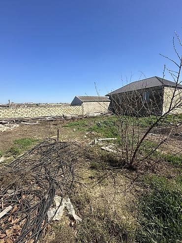 kupça: 6 sot, Tikinti, Maklerlər narahat etməsin, Kupça (Çıxarış) — 7