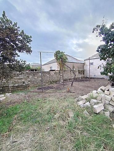 torpag satilir: 4 sot, Tikinti, Mülkiyyətçi, Kupça (Çıxarış) — 5