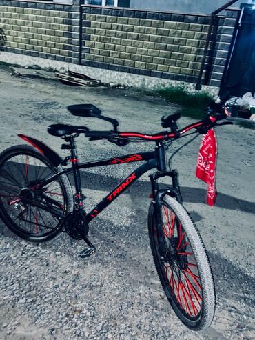 купить трехколесный электровелосипед для взрослых бу: Тоо велосипеди, Trinx, Алюминий, Колдонулган