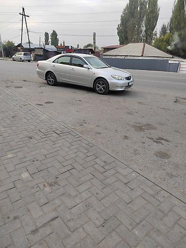 Toyota: Toyota Camry: 2005 г., 2.4 л, Бензин, Седан — 4
