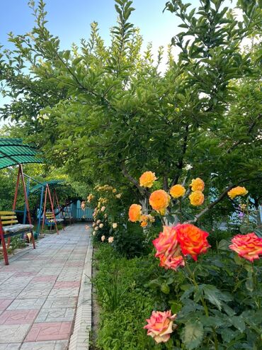 снять кв на ночь: Номер, Тумар Тамчы, Балдар аянтчасы, Унаа токтотуучу жай, унаа туруучу жай, Барбекю