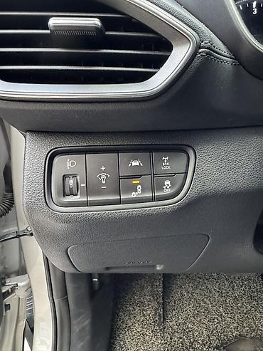200: Hyundai Santa Fe: 2019 г., 2 л, Автомат, Дизель, Кроссовер — 10