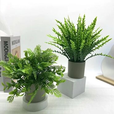 купить искусственные цветы: Искусственные комнатные растения в горшках - Комплект декоративных