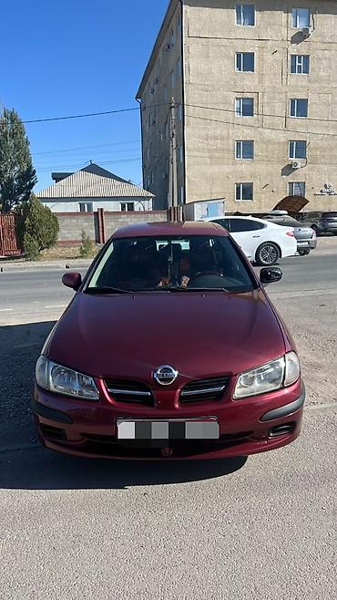 geely monjaro: Nissan Almera: 2000 г., 1.5 л, Механика, Бензин, Хэтчбэк — 1