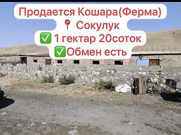 кашао: Кошара, 120 соток, Действующий, С оборудованием, Частично с оборудованием, Газ, Электричество, Отопление — 1