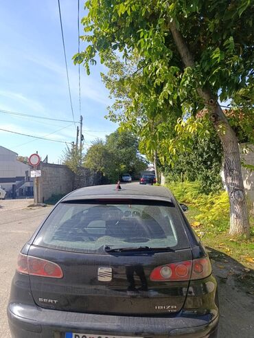 Seat: Seat Ibiza: 1.9 l | 2004 г. 353991 km Hečbek — 6