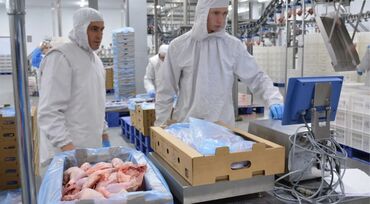 работа в россии вахта: Талап кылынат Таңгактоочу, Төлөм Бир айда эки жолу, Тажрыйбасыз