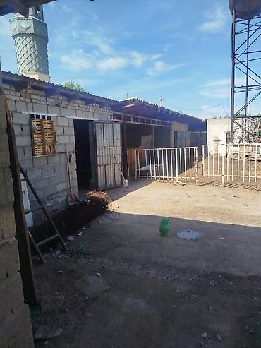 Продажа сельхоз предприятий: Фермерский двор/подворье с хозяйственными постройками и открытыми — 2