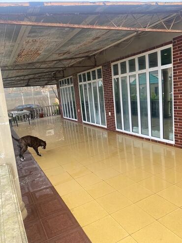 Uzunmüddətli kirayə evlər: 120 kv. m, 3 otaqlı, Kombi, Qaz, İşıq -da lalafo.az — 2 Uzunmüddətli kirayə evlər: 120 kv. m, 3 otaqlı, Kombi, Qaz, İşıq — 2