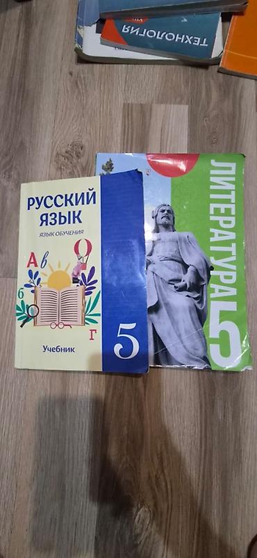 Математика: каждая по 3 азн. Русский и литература: каждая по 5 — 2