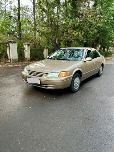 человек собирающий марки: Toyota Camry: 1999 г., 2.2 л, Автоматические, Бензин, Седан
