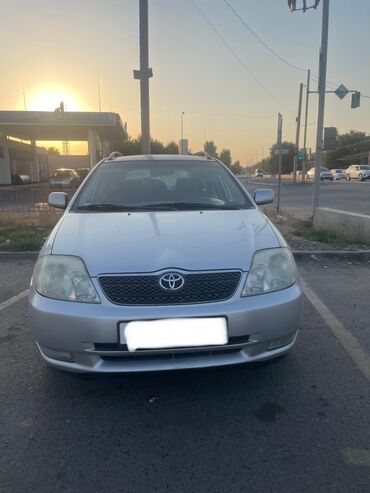 nabor divan: Toyota Corolla: 2004 г., 1.6 л, Механика, Бензин, Универсал