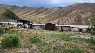 Сельхоз предприятия: Продаю Кошара, 2000 соток, Не действующий, Частично с оборудованием, Электричество — 3